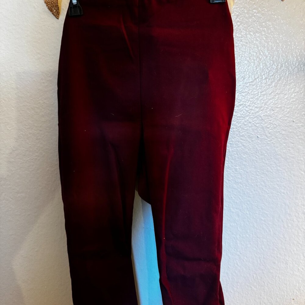 LOFT sutton pants